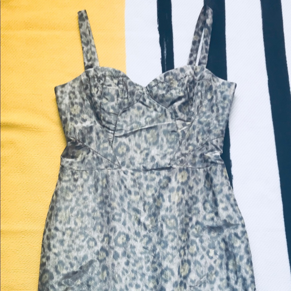 Iridescent/Subtle Leopard Dress